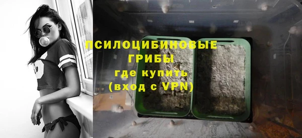 эйфоретик Алзамай