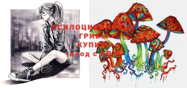 героин Алексин