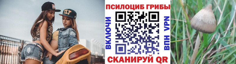 блэк спрут ТОР  наркота  Уфа  Псилоцибиновые грибы Psilocybine cubensis 